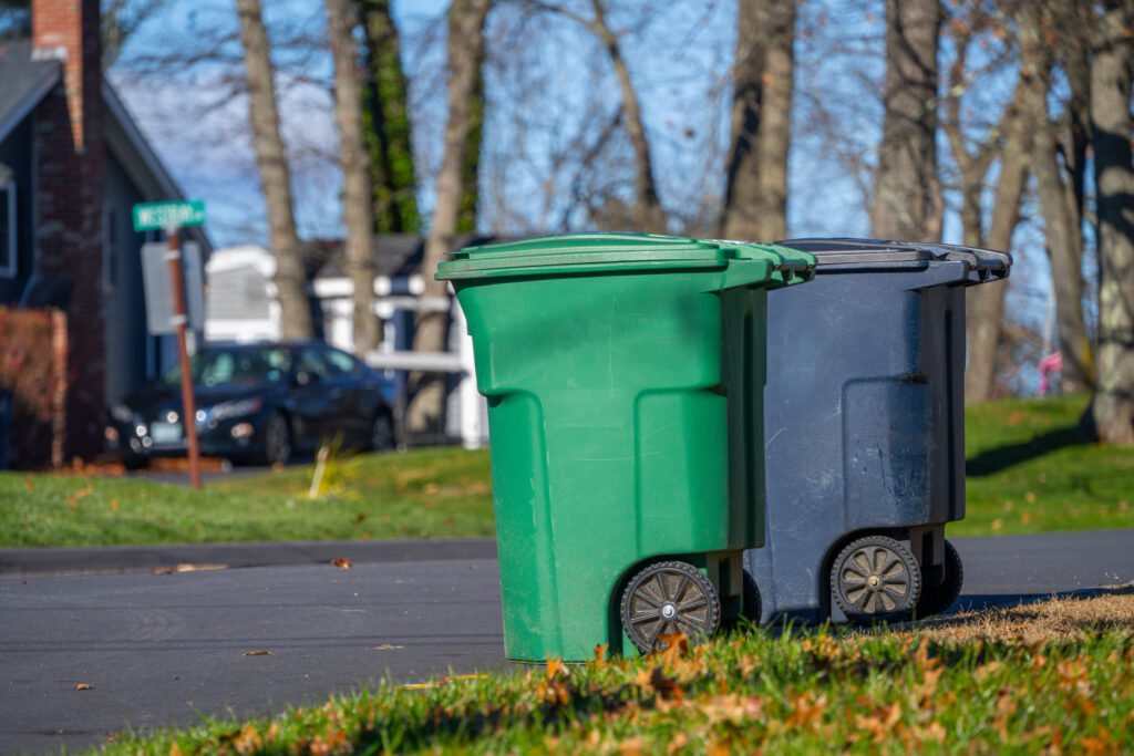 Two wheeled garbage bins, one green and one blue, positioned on a residential street. In the background, trees and houses are visible under a clear blue sky, with a parked car nearby.